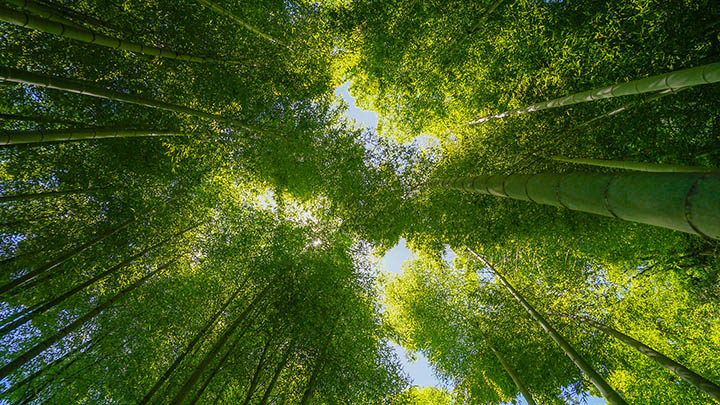 苹果搜狗输入法怎么下载？简单三步轻松搞定！ 二