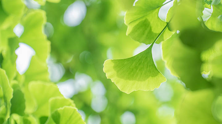 电脑搜狗输入法怎么下载？详细教程与多种下载渠道解析 二