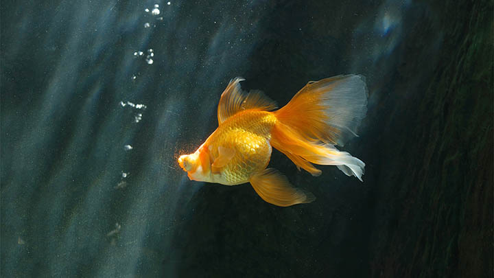 iPad装搜狗输入法：3步搞定下载指南 二