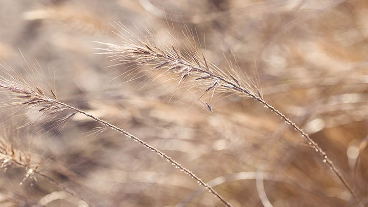 搜狗输入法怎么下载安装？全平台兼容详解与极速获取教程 二