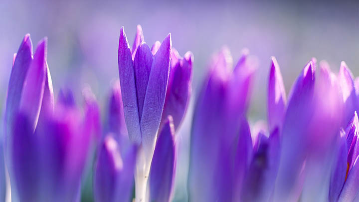 搜狗输入法下载全攻略：官方手机端安装通道解析 二