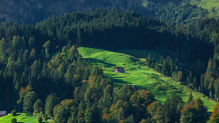 搜狗手机输入法怎么下载？超全安装指南及实用技巧汇总 二