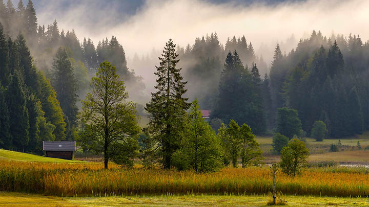 搜狗输入法下载教程：Windows/Mac/手机全平台获取方式解析 二