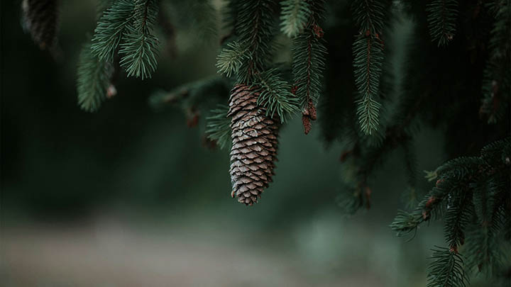 搜狗输入法下载音乐：轻松搞定兼容性与格式限制问题解决方案 二