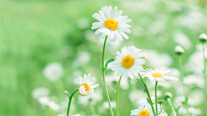 华为手机搜狗输入法下载：快速安装教程全解析 二