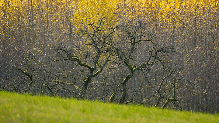 搜狗输入法下载离线包：无需联网轻松安装完整功能 二