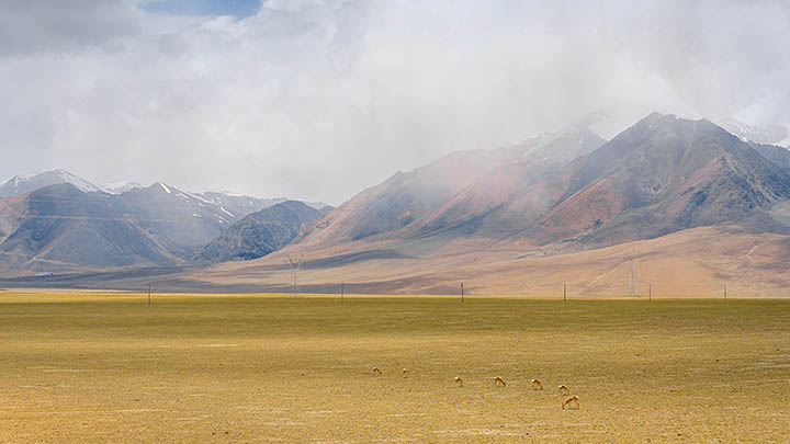 搜狗输入法下载指南：安卓/iOS/PC多端轻松安装秘诀 二