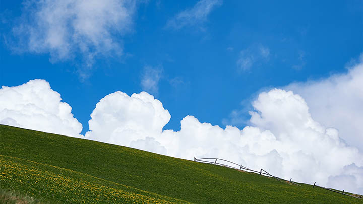 搜狗输入法变音怎么下载？全网详细教程轻松掌握 二