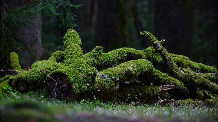 搜狗搜索输入法免费下载指南:快速安装教程3分钟搞定 搜狗搜索输入法免费下载指南:快速安装教程3分钟搞定 二