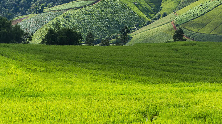苹果手机搜狗输入法下载全攻略：快速安装指南 二