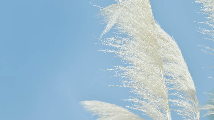 搜狗输入法模板下载：最快速获取与安装指南 二