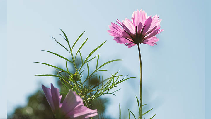 搜狗输入法音效下载：全面解析获取途径与设置教程 二