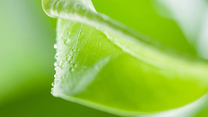 搜狗输入法翻译功能在哪?快速下载与实用安装指南 搜狗输入法翻译功能在哪?快速下载与实用安装指南 二