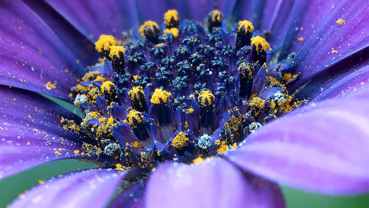 搜狗输入法下载设置教程：1分钟快速上手完整指南 二