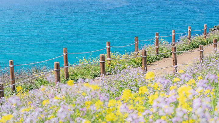 搜狗输入法韩语版下载：官方指南3分钟轻松配置键盘语言 二