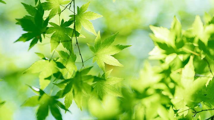 搜狗输入法下载攻略:3种轻松获取方式助你秒装电脑输入工具 搜狗输入法下载攻略:3种轻松获取方式助你秒装电脑输入工具 二