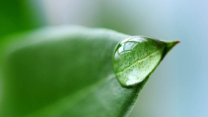 OPPO手机下载搜狗输入法全攻略:官方渠道与兼容性设置详解 OPPO手机下载搜狗输入法全攻略:官方渠道与兼容性设置详解 二