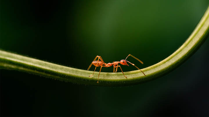 搜狗输入法原版下载：官方渠道及详细指南解析 二