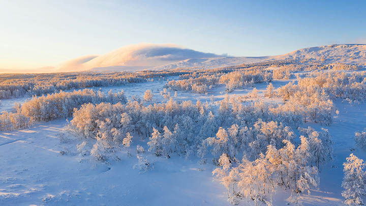 搜狗输入法笔画功能下载教程:3步快速搞定 搜狗输入法笔画功能下载教程:3步快速搞定 二