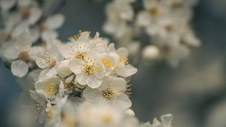 下载搜狗输入法怎么下?官方推荐安全渠道全解 下载搜狗输入法怎么下?官方推荐安全渠道全解 二